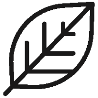 Outlined Plant Protein 2pt